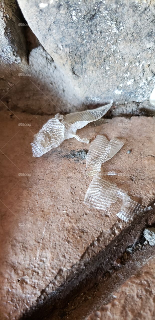 You left your skin behind!