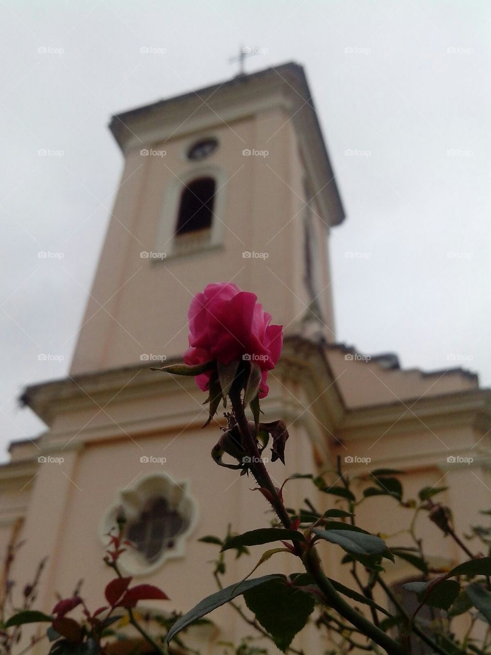 Igreja