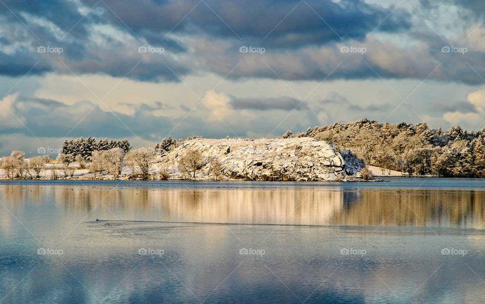 Winter by the lake. 