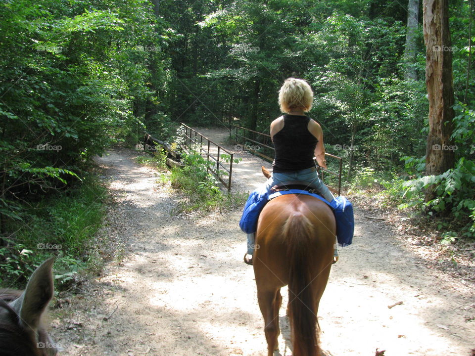 Trail riding in the forest 