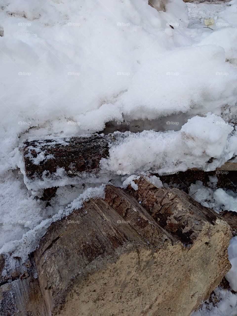 Part of a frozen snag