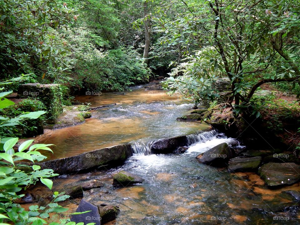 Small waterfall on a Georgia mountain stream surrounded by green foliage