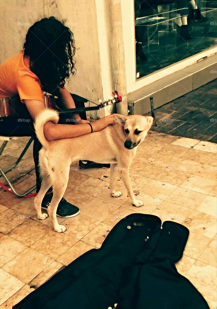 One young street musician with quitar
in one hand and with his beautiful
restless dog in the other hand
