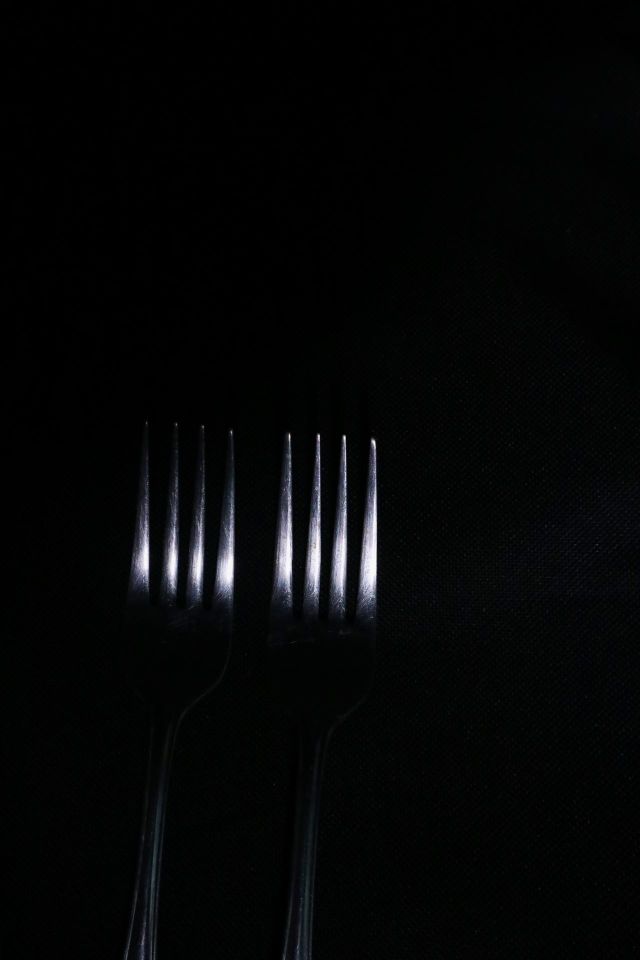 forks light in the darkness