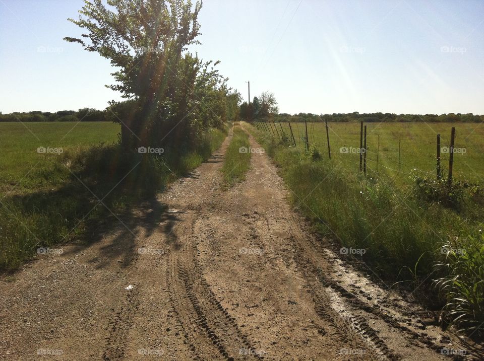 Dirt road in Sanger Texas. 