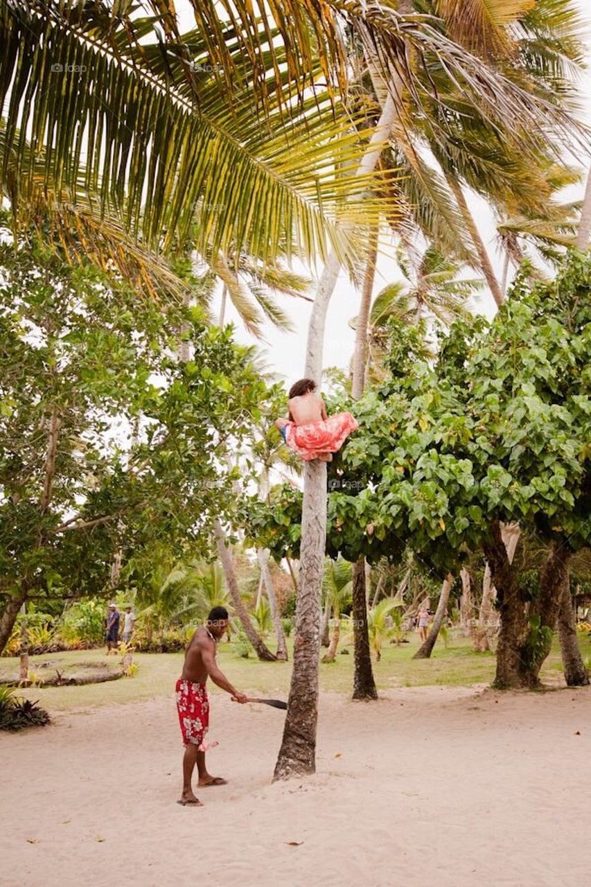 Catching coconuts