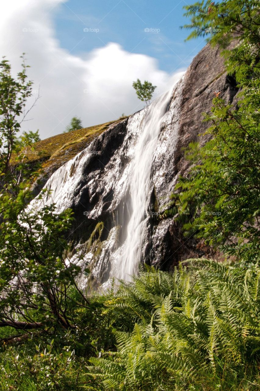 Waterfall in the forest