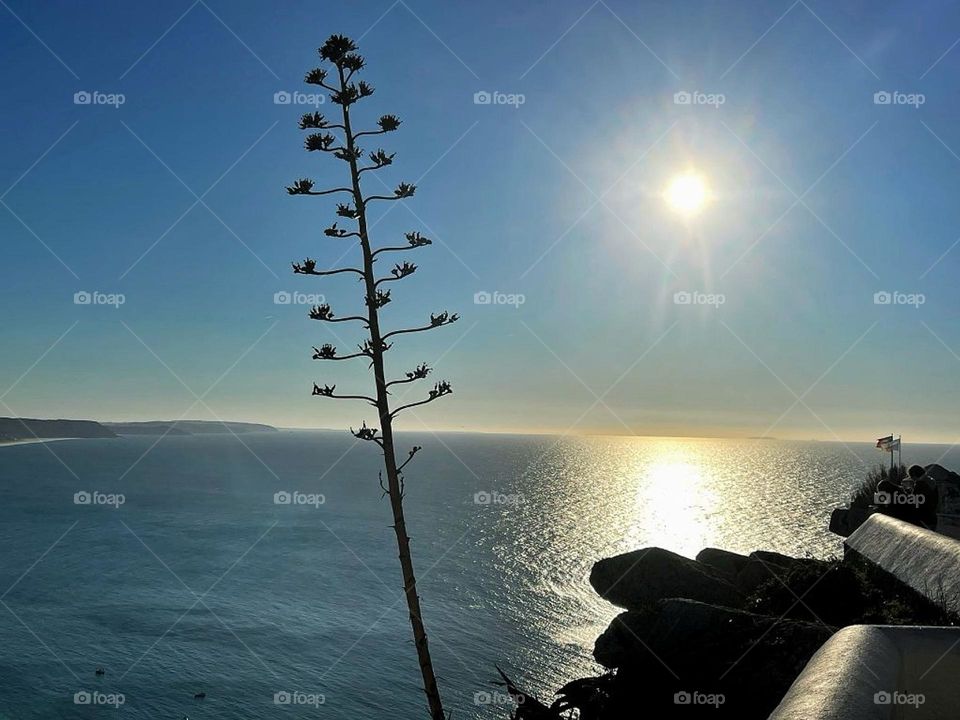 Nazaré view.