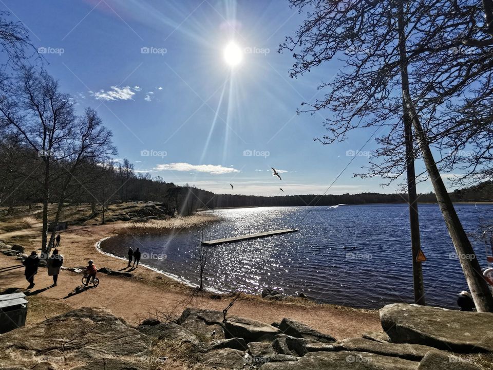 Spring day by the lake