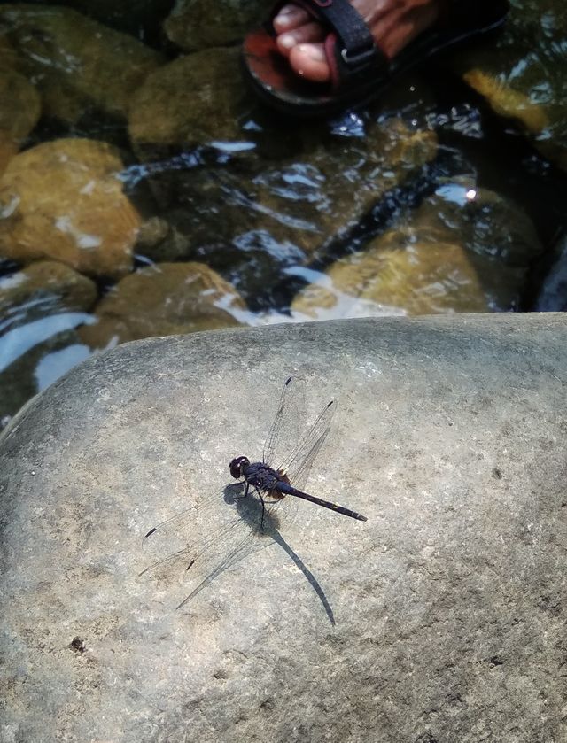 tiny