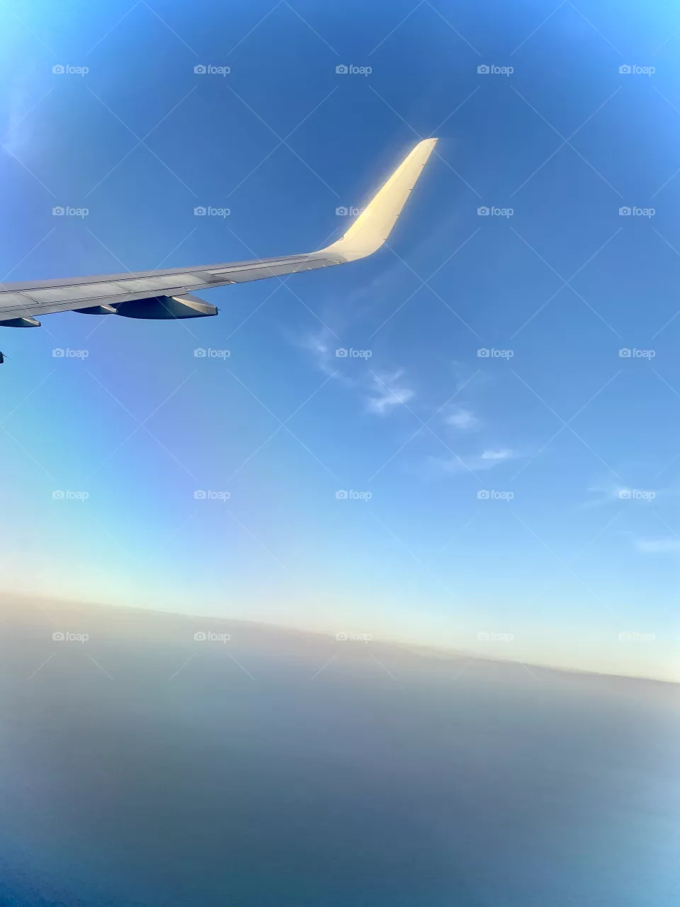 High In The Clouds