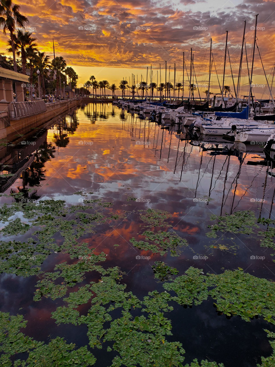 A gorgeous fall sunset reflected in the water of the Lake Monroe marina in Sanford Florida has eye popping colors