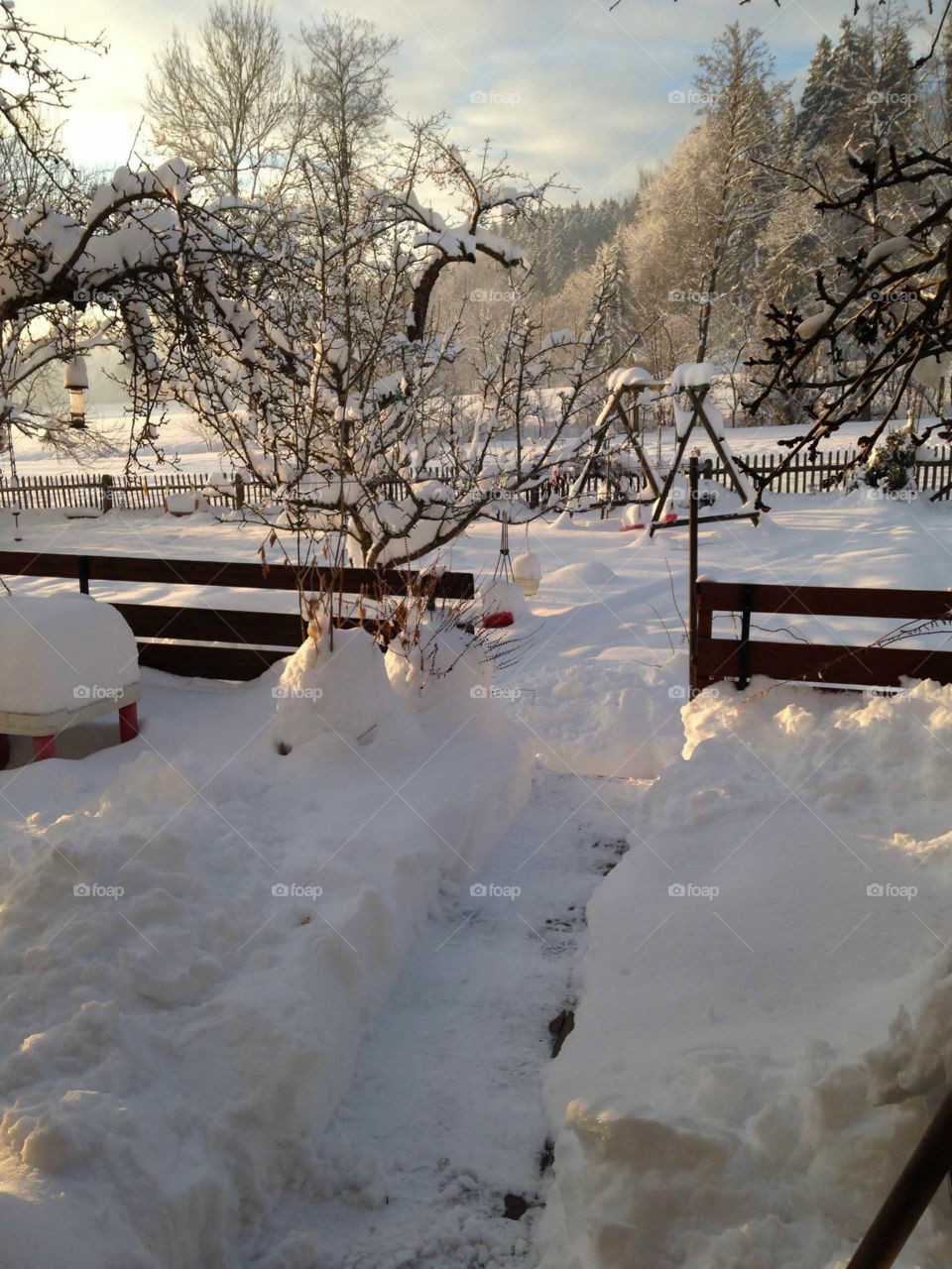 A LANDSCAPE BATHED IN SNOW! !