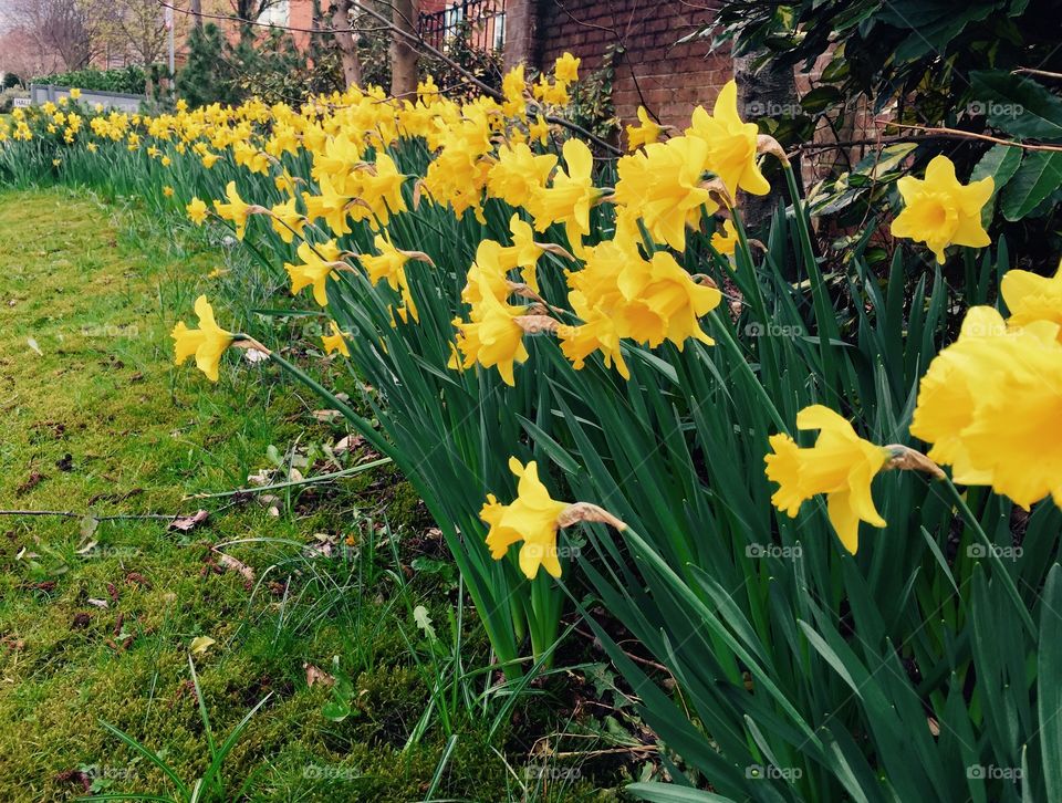 Beautiful bright spring day 