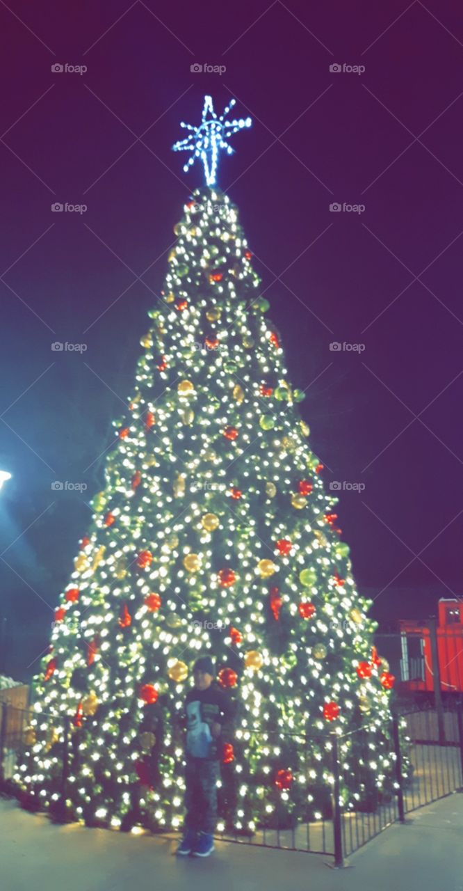 Christmas tree 2019