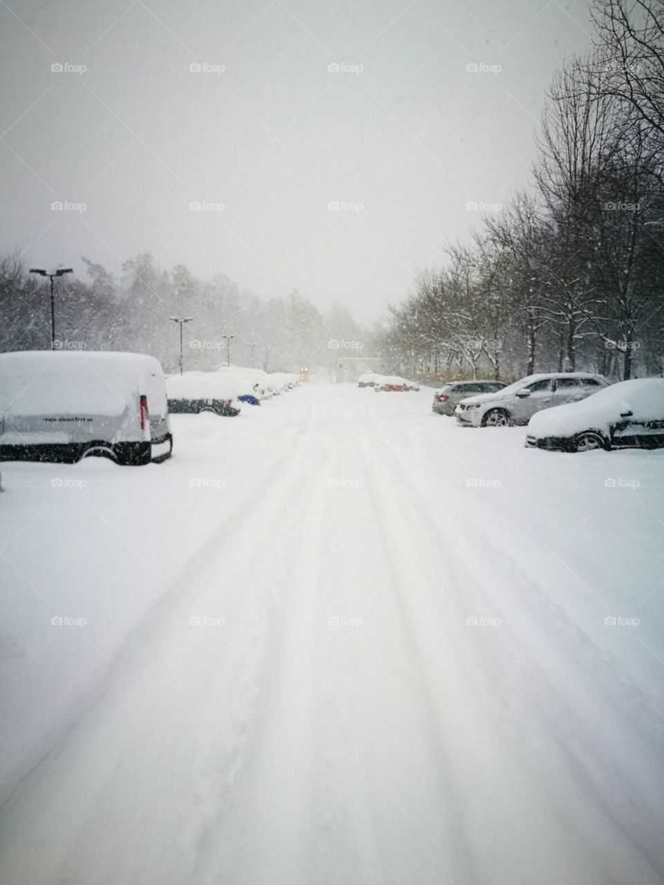 let it snow let it snow