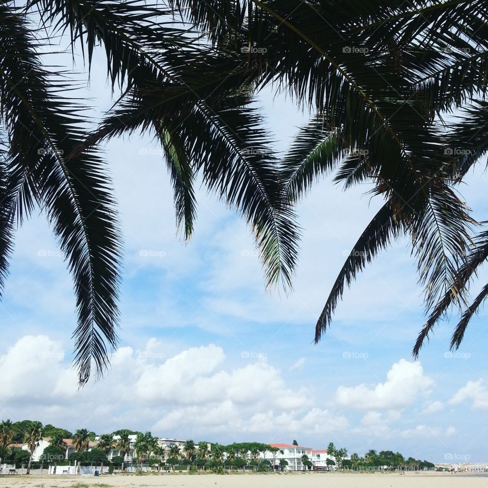 On the beach of Cambrills