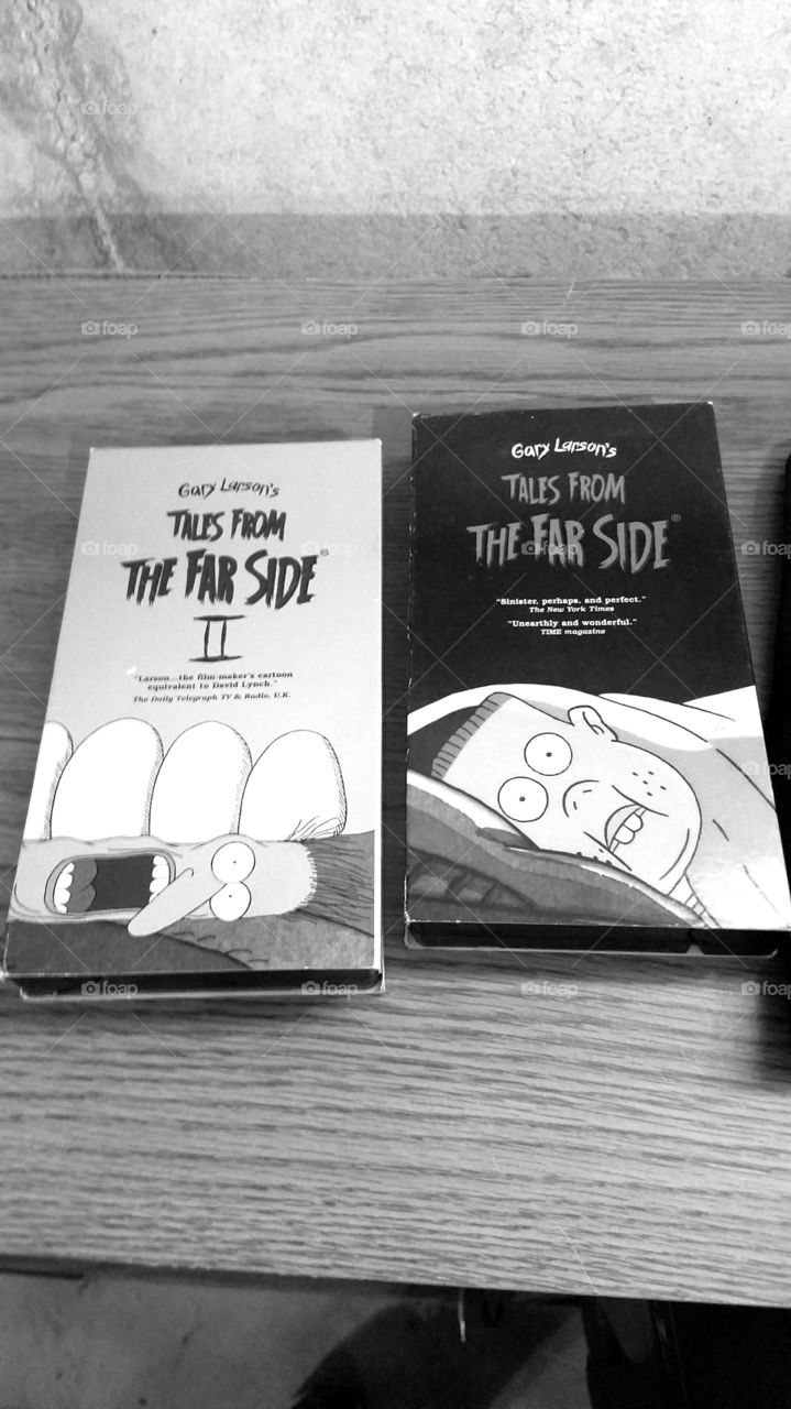 Gary Larson's Tales from the Far Side VHS tapes
