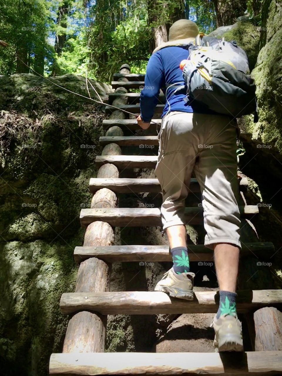 Climbing a ladder on hiking trail