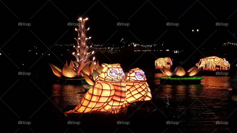 The owls make their way out into Discovery River during Rivers of Light at Animal Kingdom at the Walt Disney World Resort in Orlando, Florida.