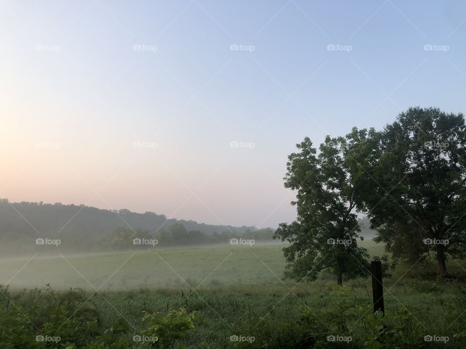 Dawn over rolling pastureland 
