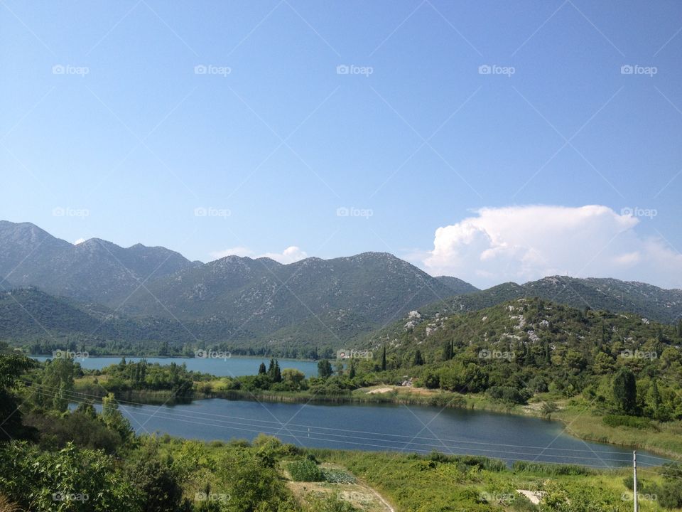 Scenic view of nature