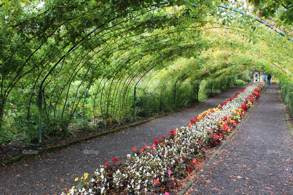 point defiance pergola