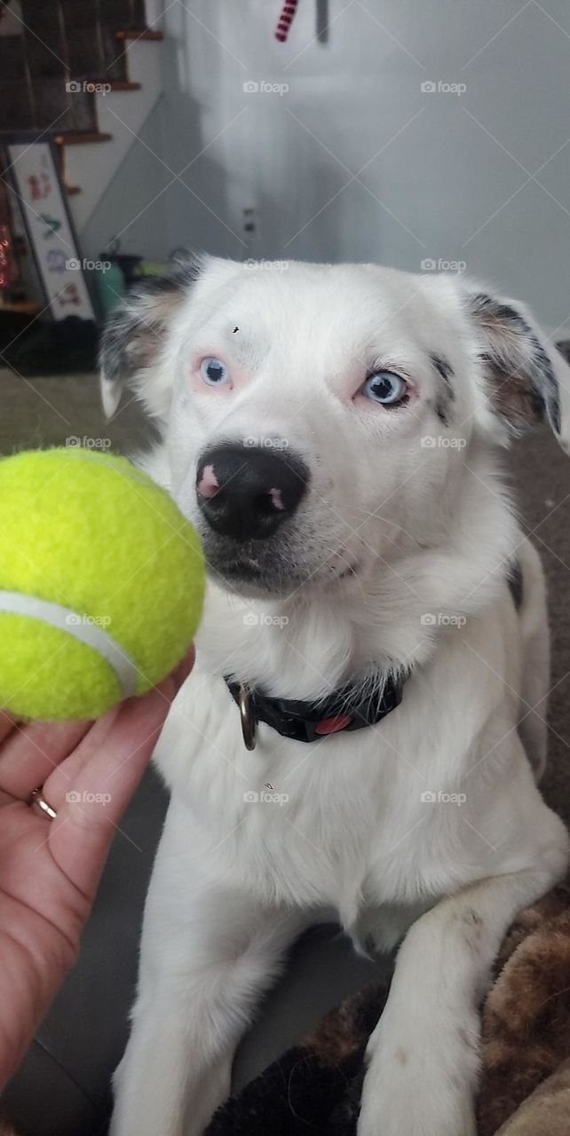 Getting ready to play catch!