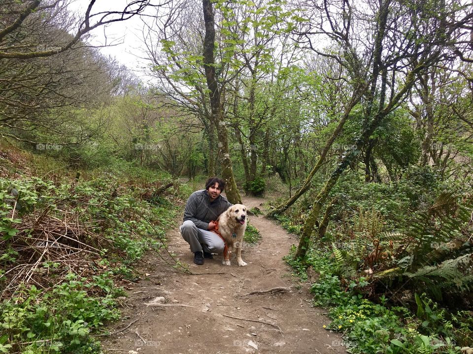 Road, Wood, Landscape, Tree, Environment