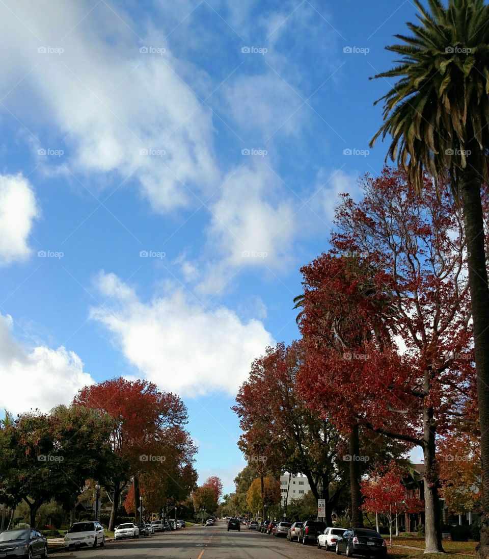 Autumn in the neighborhood