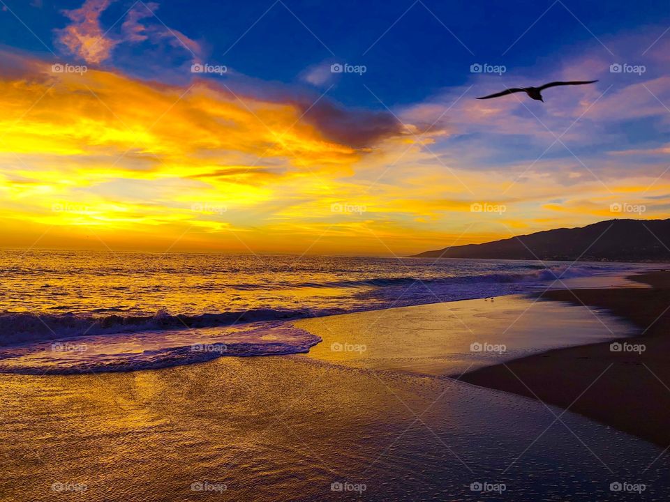 Malibu, California Zuma Beach Pacifico’s ocean seagull flies waves lap the shore sunset sunrise orange sky clouds blue sand reflection pacific coast highway pch mountains Santa Monica pacific palisades 
