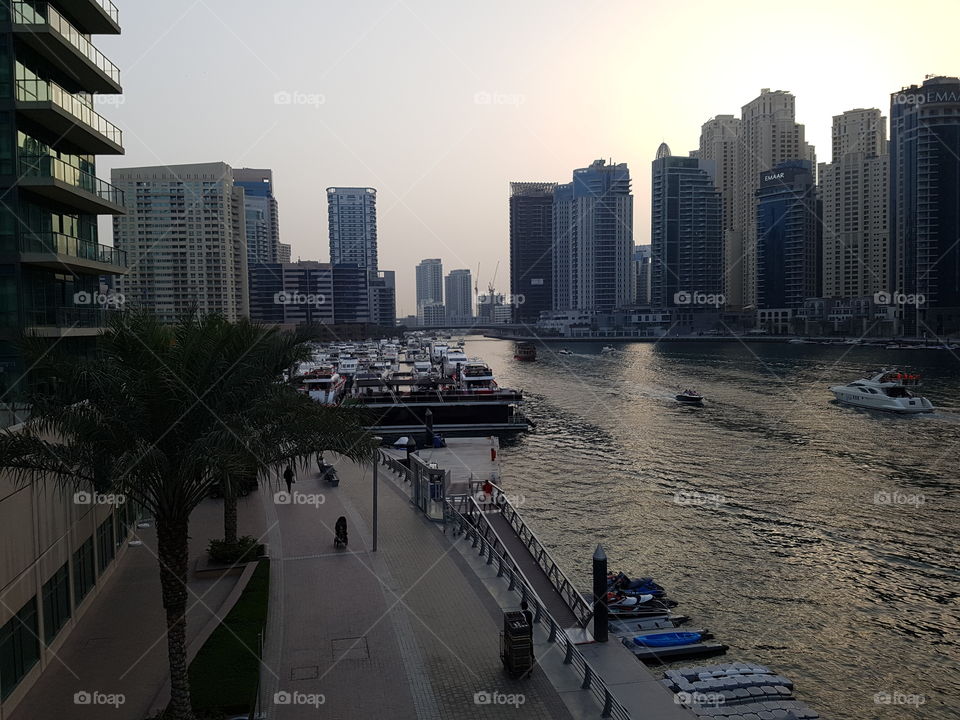 Dubai Marina