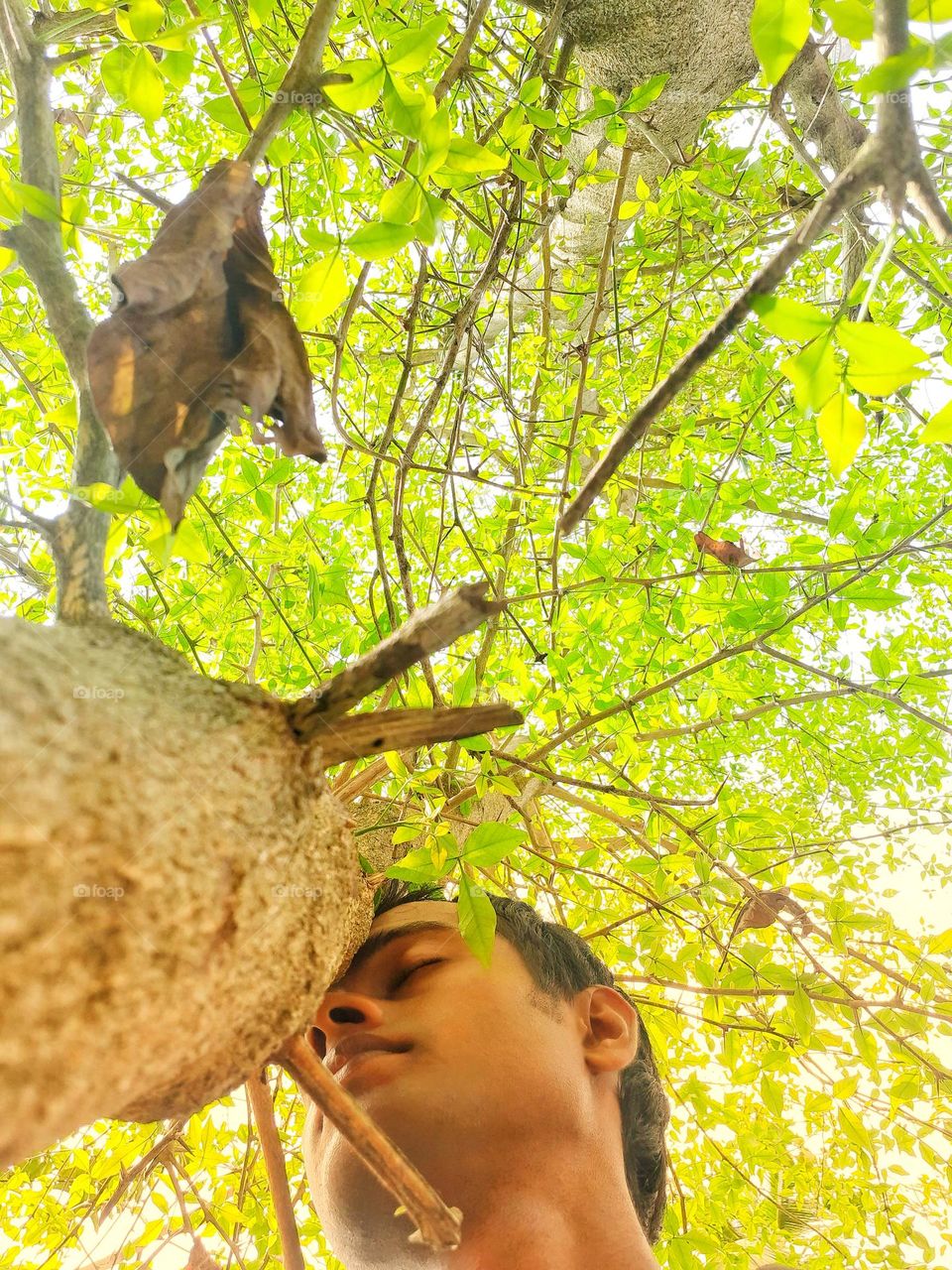 A selfie taken from under a bael fruit tree