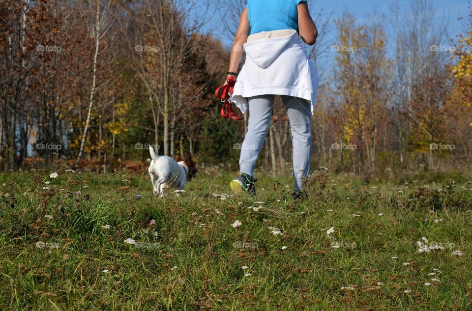 morning walking outside with dog