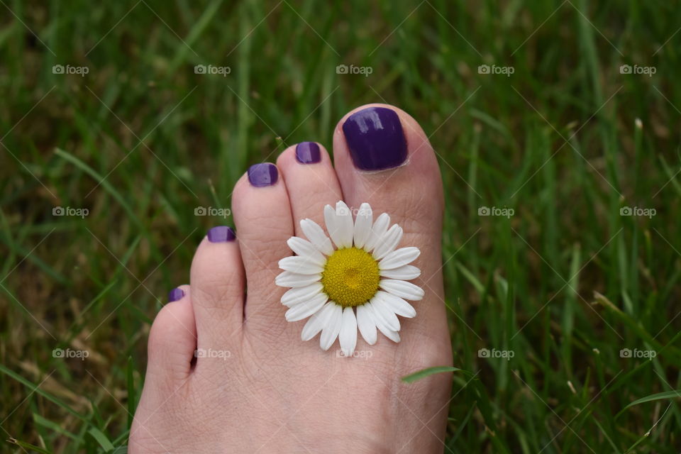 Painted toes and a daisy