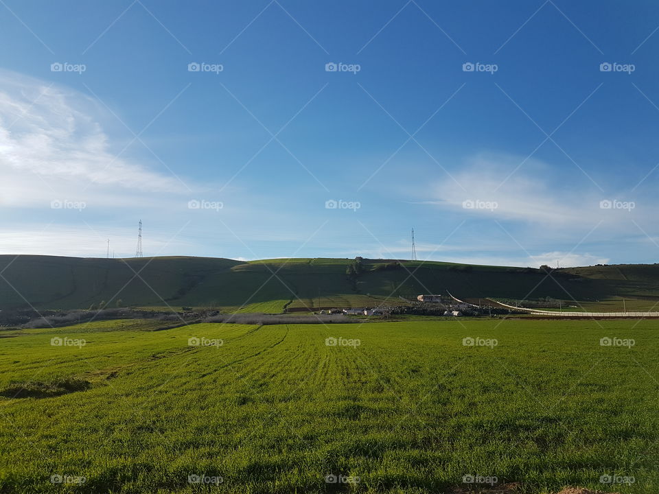 Moroccan Agricultural fields #9