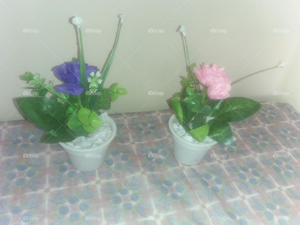 Flowers in vases