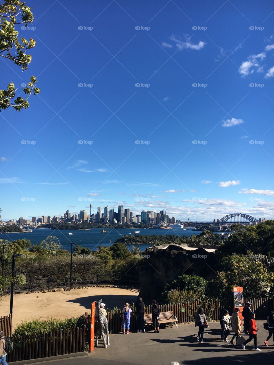 Sydney Australia - Taronga Zoo