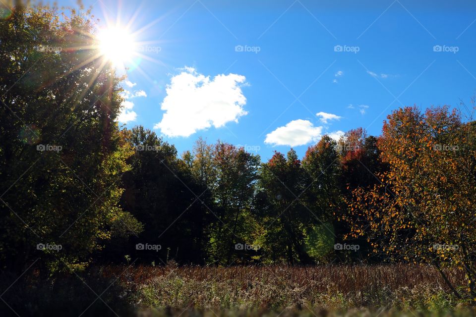 Picture perfect day. so beautiful it could be a painting.