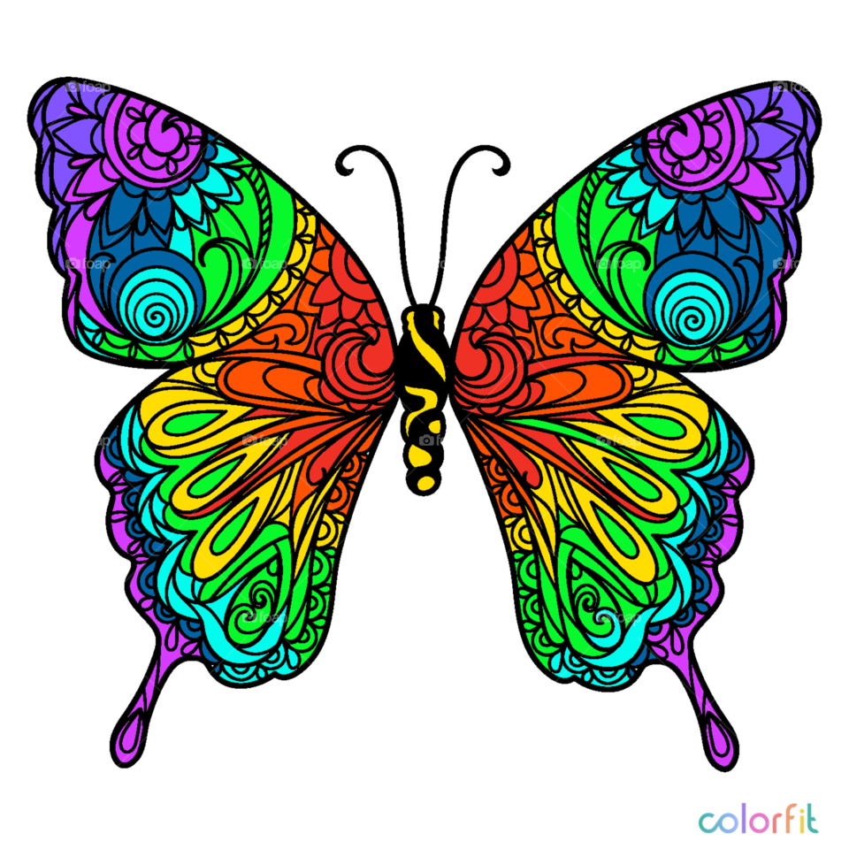 Butterfly, Wing, Design, Illustration, Abstract