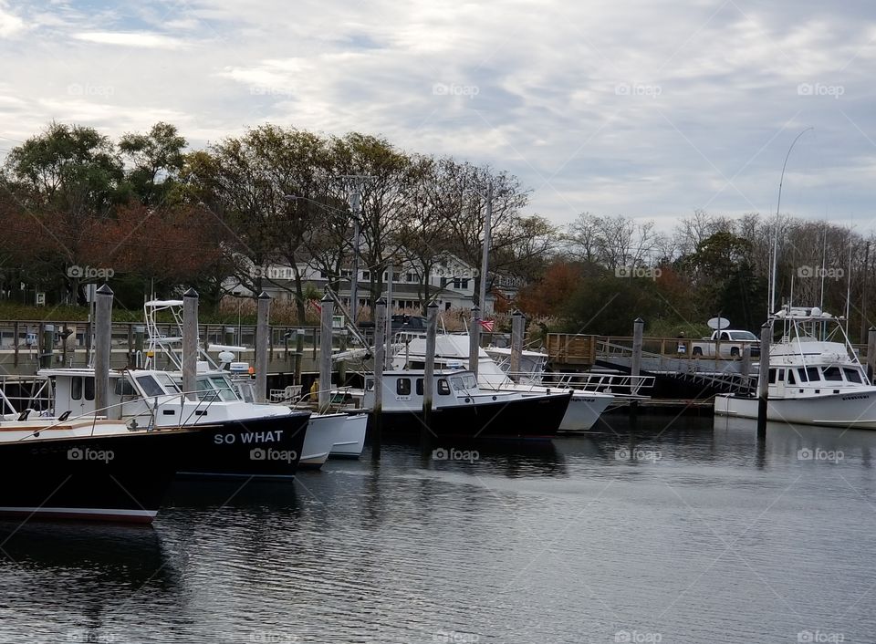 I noticed the vessel named "What's Up" that was docked at Rock Harbor in Eastham on Cape Cod
