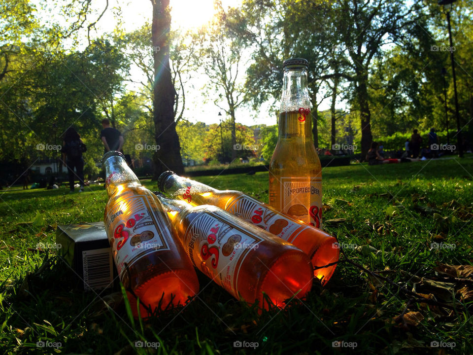 grass sol summer trees by moosyphoto