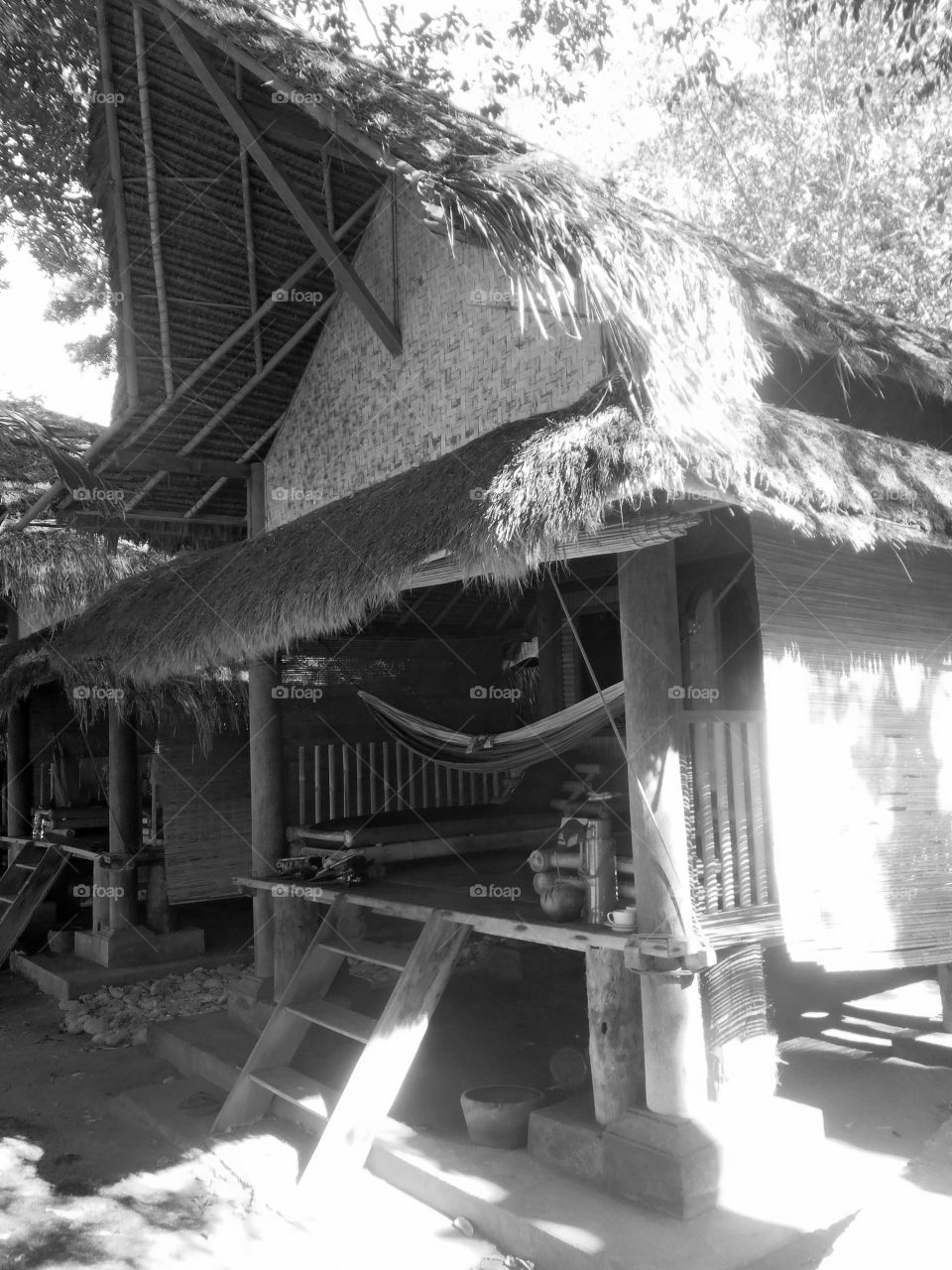 Black and white . Bamboo bungalow 