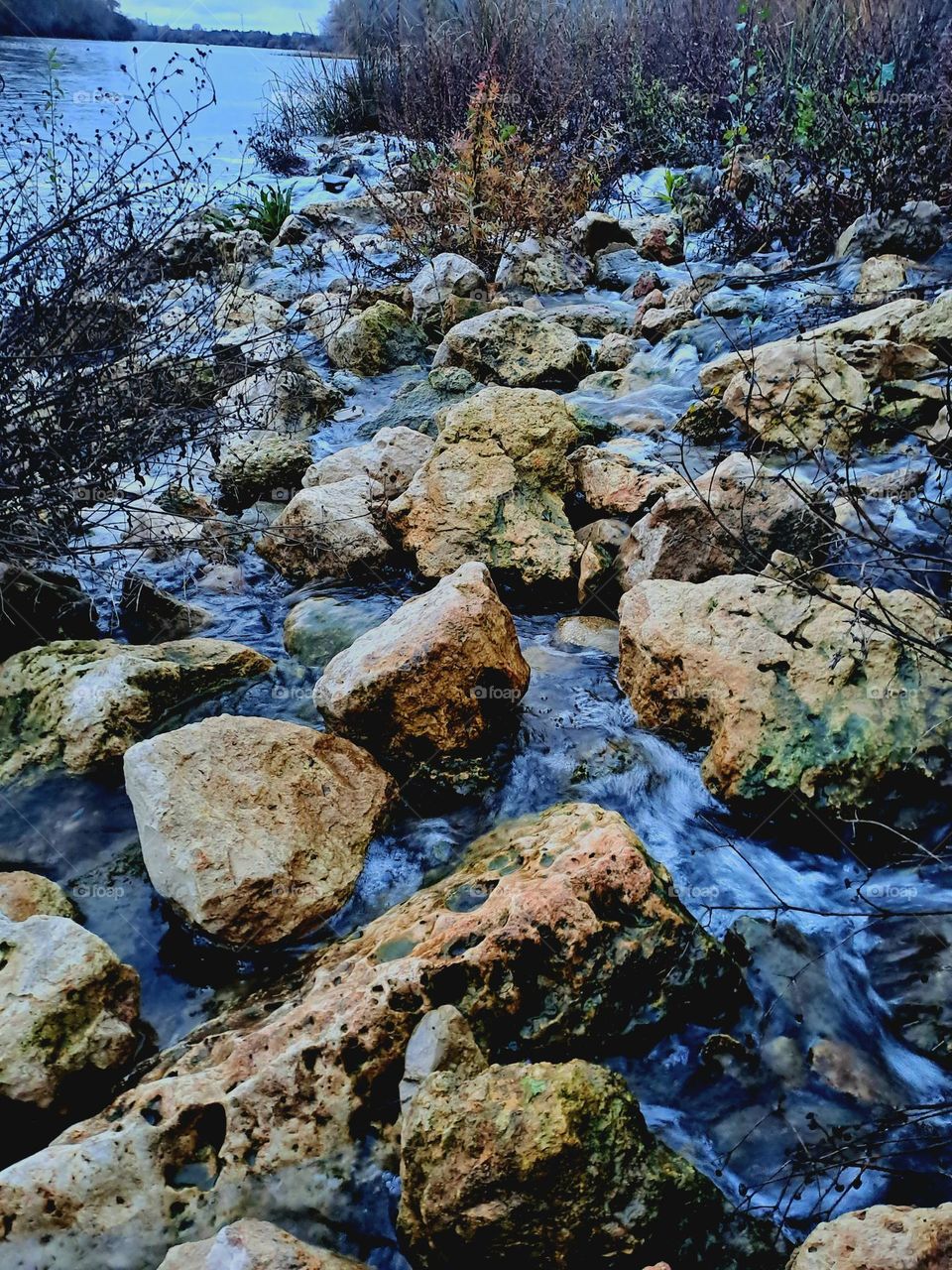 I took a photograph of the river in my town