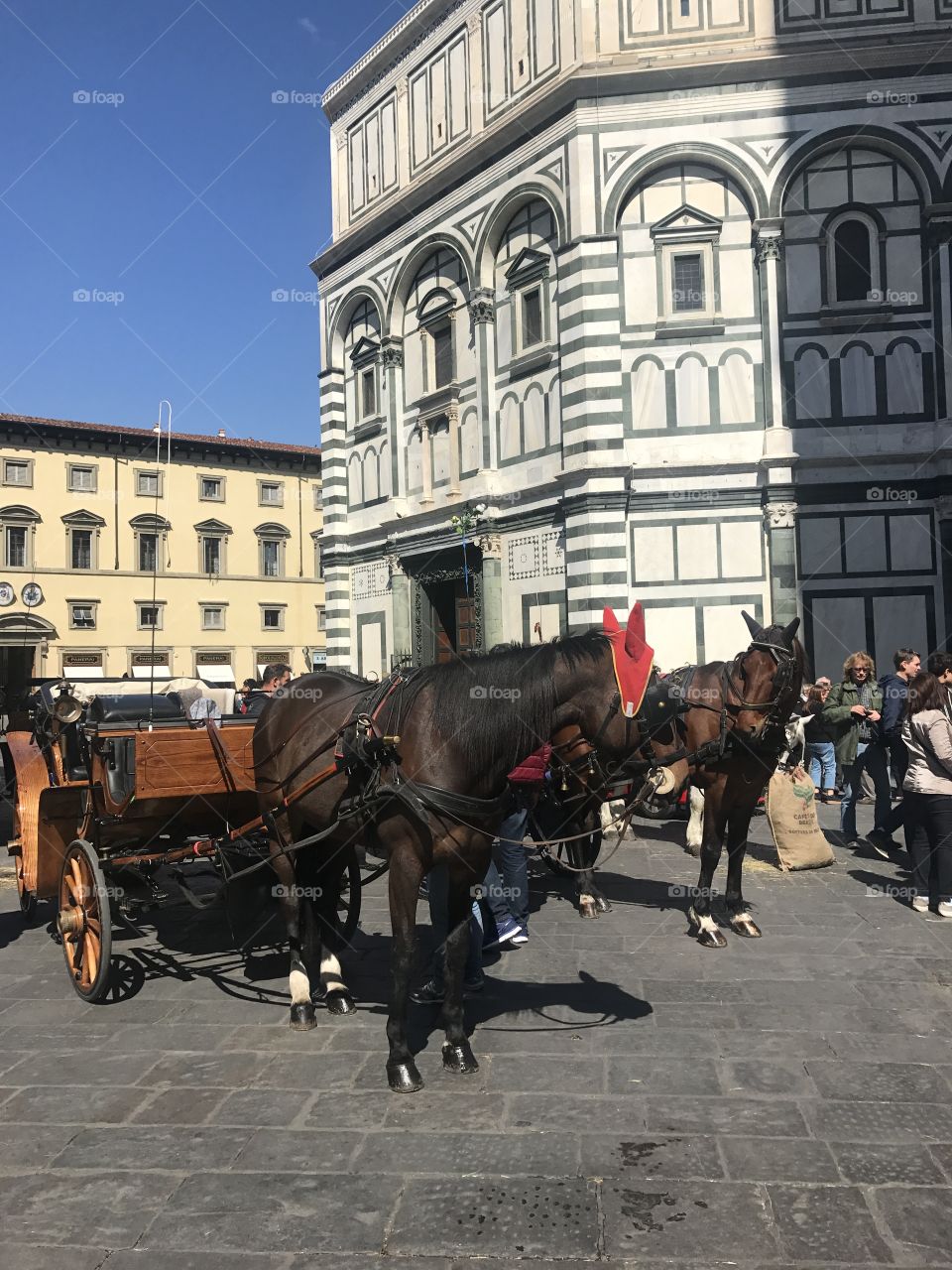Love in Florence 