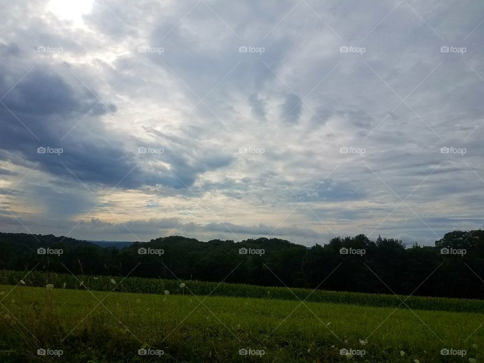 Driving the Back Roads and enjoying everything around us