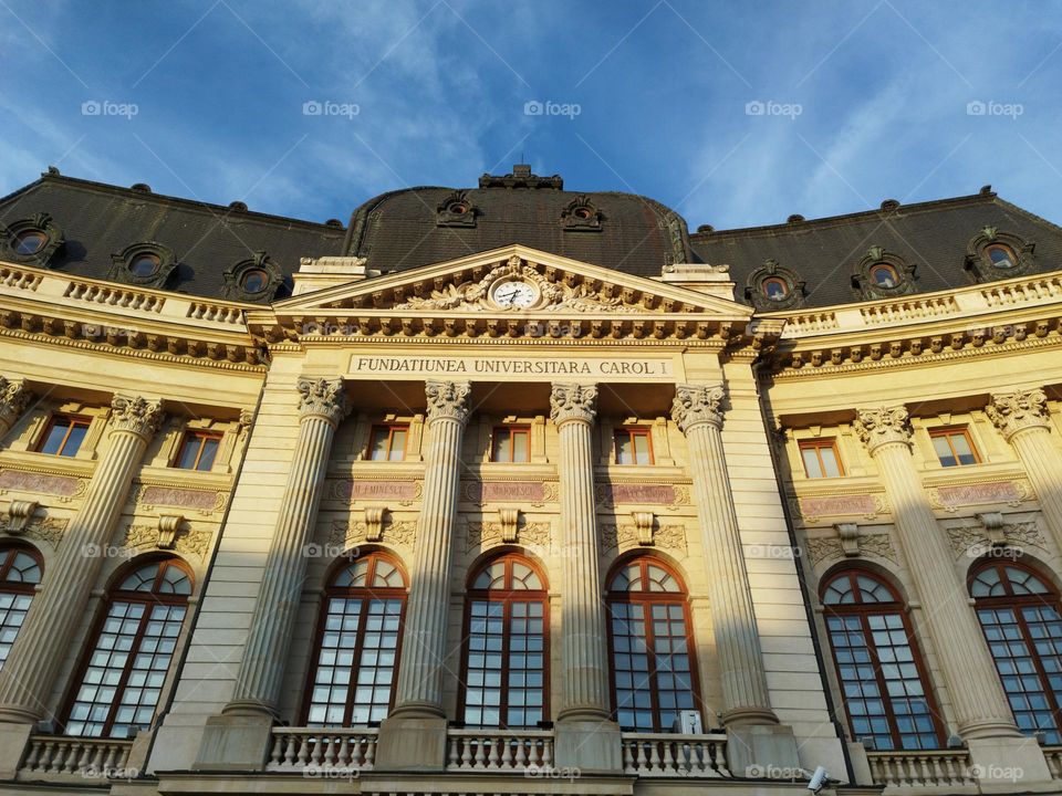 Half Sunny, half shadows