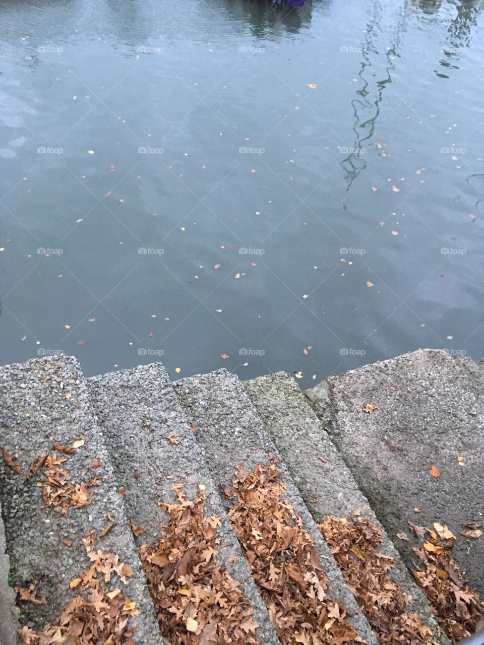 A simple photo but rather one that matters, the fallen leaves on the landing stage, coupled with the reflective ripples, ensures an end product of note.