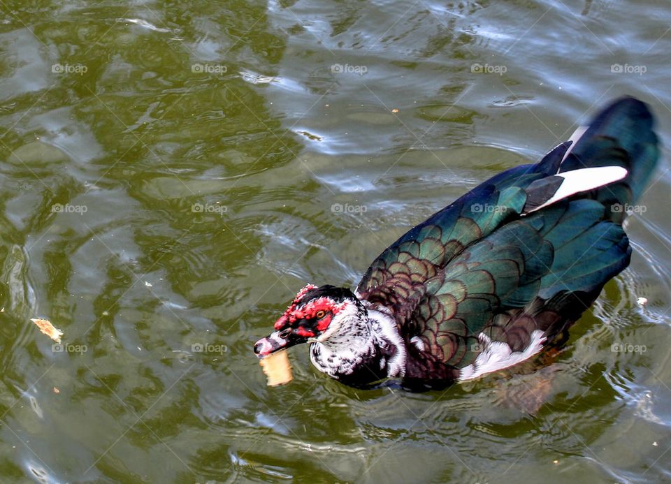 Mark's photography travels 
feeding the birds! 
myevolutiontravel.com/marks