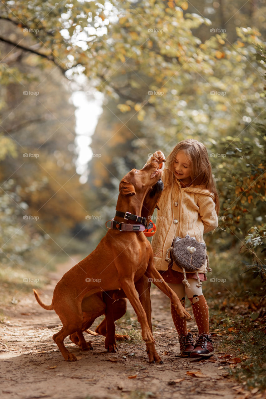 Little girl playing with dogs in an autumn park